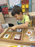 Fotografie img-8916_original.jpeg