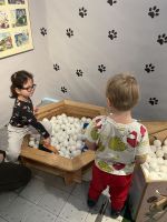 Fotografie img-9235_original.jpeg