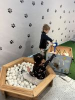 Fotografie img-9264_original.jpeg