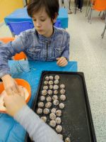 Fotografie peceni-cukrovi-szs-2025-9_original.jpg