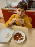 Fotografie 20251215-134351_original.jpg