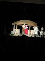 Fotografie img-6059_original.jpeg