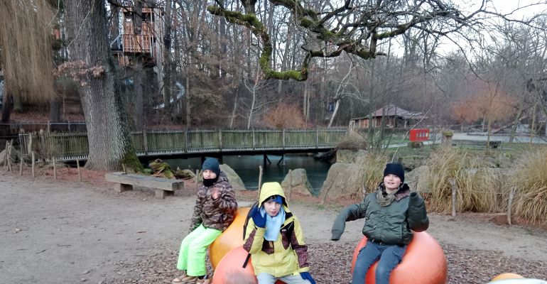 Vánoční procházka v ZOO