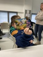 Fotografie img-6435_original.jpeg