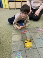 Fotografie beebot-1_original.jpg